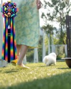 ABBY - FEMALE (PURCHASED by WANG) - Image 6