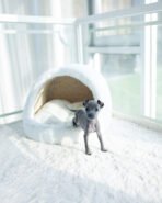 VITO - FEMALE (PURCHASED by ESTEFANIA) - Image 2