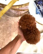 AMELIA - FEMALE (PURCHASED by TAMARA) - Image 6