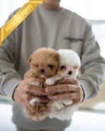 HAZEL & KELLY - FEMALE