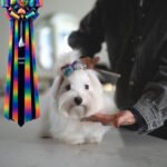 LACEY - FEMALE (PURCHASED by LAUREN)