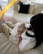 ARCHIE - MALE (PURCHASED by PATRICIA) - Image 5