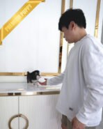 ROXY - FEMALE (PURCHASED by ANOOSHA) - Image 4