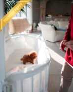 MITCH - MALE (PURCHASED by KIM) - Image 4