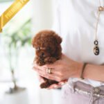 ZIGGY - MALE (PURCHASED by MAKAREM)