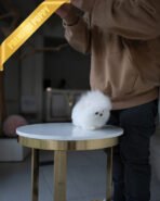 SOM - MALE (Purchase by Анна) - Image 5