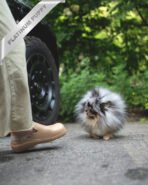 MARBLE - MALE (PURCHASED by JUNG) - Image 4