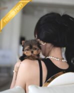 ANNIE - FEMALE (PURCHASED by ANN)