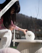 MOCHI - FEMALE (PURCHASED by KIMBERLY) - Image 5