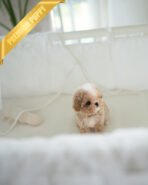 LYRA - FEMALE (PURCHASED by HANA) - Image 5