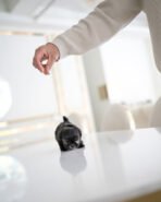 ELISE - FEMALE (PURCHASED by JANG) - Image 7