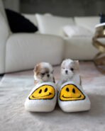 MILLI & MINA - FEMALE