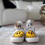 MILLI & MINA - FEMALE