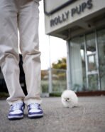 ASPEN - MALE (PURCHASED by AHMED) - Image 3