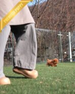 JESSICA - FEMALE (PURCHASED by MARIE) - Image 6