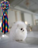 MARLENE - FEMALE (PURCHASED by JENNIFER) - Image 4