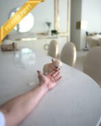 LOLA - FEMALE (PURCHASED by BETH) - Image 5