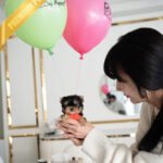 STELLA - FEMALE (PURCHASED by REBECA)