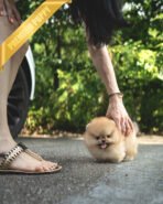 BUTTERS - MALE (PURCHASED by ASHLEE) - Image 3