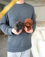 COCO - FEMALE (PURCHASED by CHO)