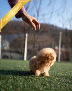 LYRA - FEMALE (PURCHASED by LULU) - Image 5