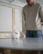 DOROTHY - FEMALE (PURCHASED by AN) - Image 3