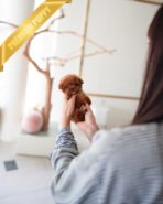 SIMON - MALE (PURCHASED by LOUIE) - Image 2