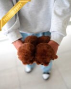 CHARLOTTE & BIANCA - FEMALE - Image 5