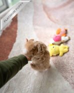 PUFFY - FEMALE (PURCHASED by DIANA) - Image 7