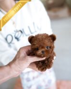 JESSICA - FEMALE (PURCHASED by ZHE)