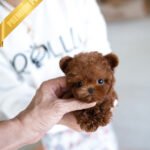 JESSICA - FEMALE (PURCHASED by ZHE)