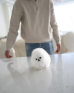 DOROTHY - FEMALE (PURCHASED by AN) - Image 4