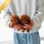 CHARLOTTE & BIANCA - FEMALE