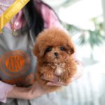 JESSICA - FEMALE (PURCHASED by MARIE)