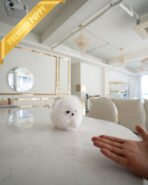 TAYLOR - FEMALE (PURCHASED by KIM) - Image 2