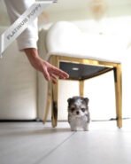 MARCO - MALE (PURCHASED by MICHAEL) - Image 3