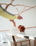 TIPPY - FEMALE (PURCHASED by STEPHANIE) - Image 6