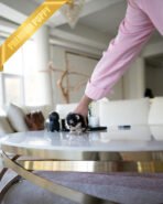 CALLI - FEMALE (PURCHASED by MARY) - Image 4