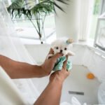 LEWIS - MALE (PURCHASED by KEN)