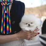 GIOVANNI - MALE (PURCHASED by DON)