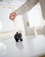 ELISE - FEMALE (PURCHASED by JANG) - Image 3