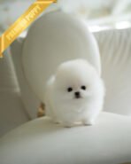 CLOUD - FEMALE (PURCHASED by CATHERINE)