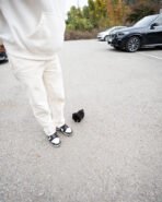 BAILEY - MALE (PURCHASED by TALEB) - Image 7