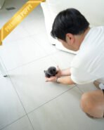 INDIGO  - MALE (PURCHASED by JENNY) - Image 8