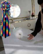 MARLENE - FEMALE (PURCHASED by JENNIFER) - Image 5