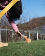 LYRA - FEMALE (PURCHASED by LULU) - Image 6