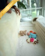 ESME - FEMALE (PURCHASED by ELSA) - Image 8