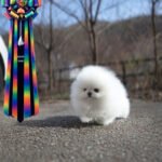 CLOUD - FEMALE (PURCHASED by WESAM)