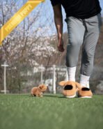 ROSE - FEMALE (PURCHASED by OZSHA) - Image 7