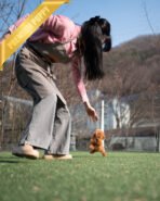 JESSICA - FEMALE (PURCHASED by MARIE) - Image 7